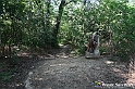 VBS_4754 - Il bosco fatato - Montaldo Roero